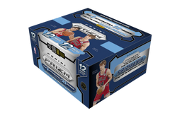 Panini Prizm 2024-25 NBA Hobby Box