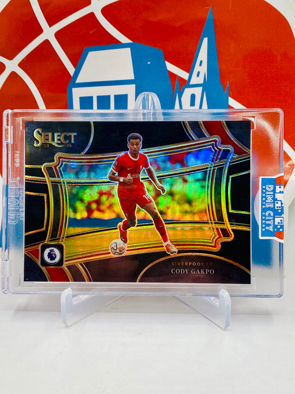 Panini Select 2023-24 Premier League Field Level #1/1