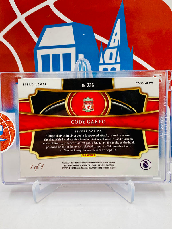 Panini Select 2023-24 Premier League Field Level #1/1
