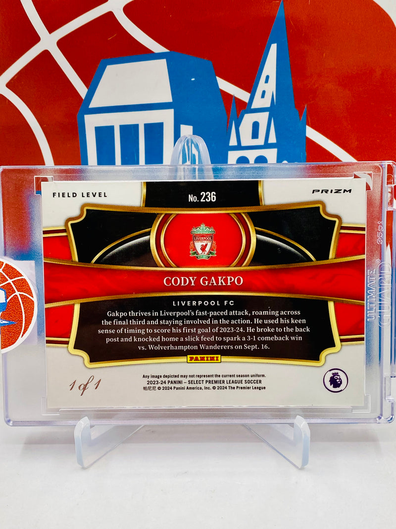 Panini Select 2023-24 Premier League Field Level #1/1