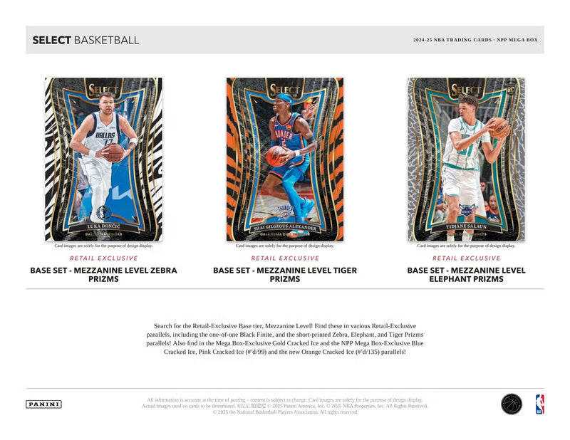 Panini Select 2024-25 Mega Box